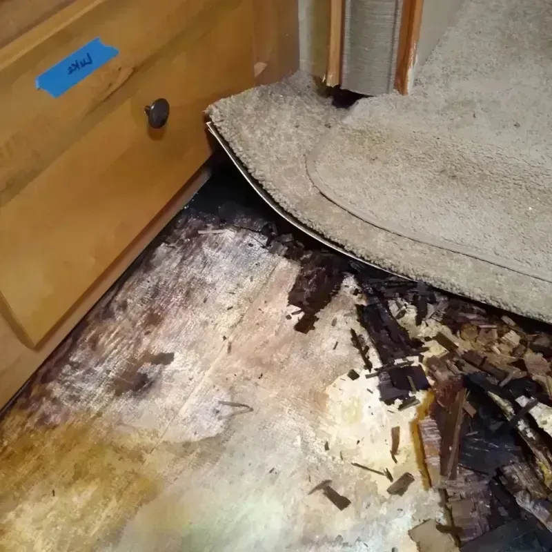 Wood Floor Water Damage in Sampson County, NC